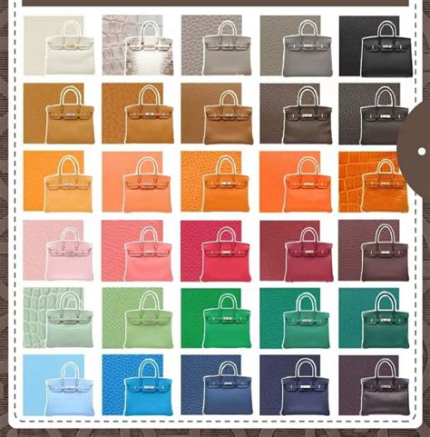 2 color hermes birkin|Hermes luggage color chart.